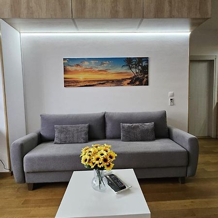 Porodicno-Poslovni Udoban Stan Apartamento Belgrado Exterior foto