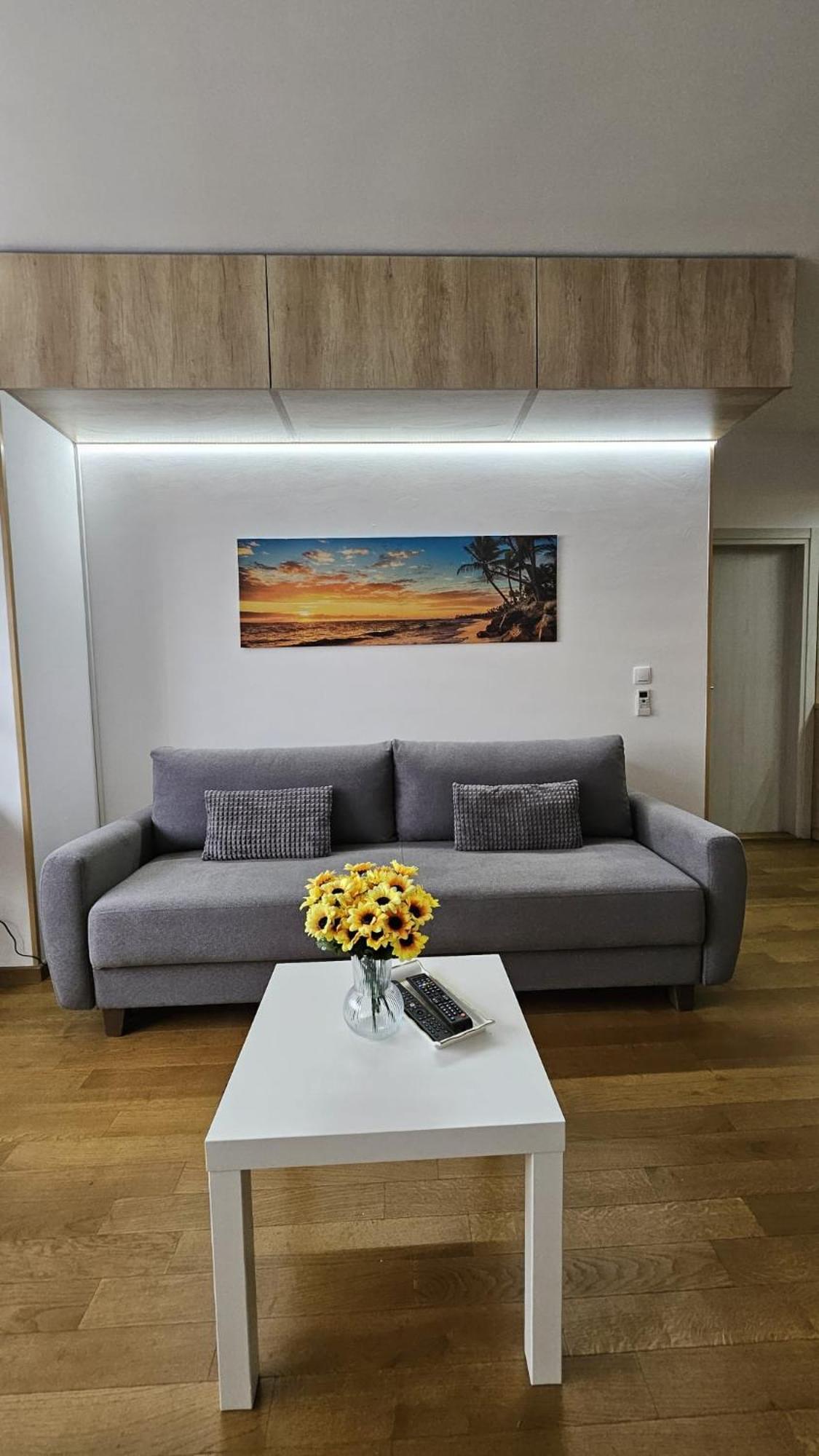 Porodicno-Poslovni Udoban Stan Apartamento Belgrado Exterior foto